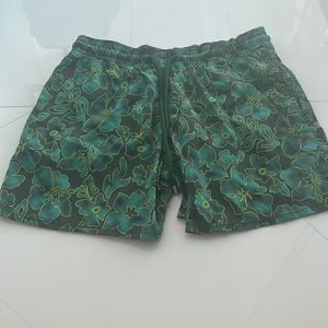 Vilebrequin Green Mens Swim Shorts